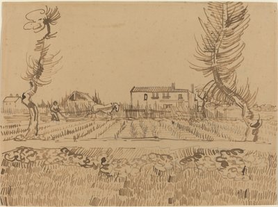 Labrador en los Campos cerca de Arles de Vincent van Gogh