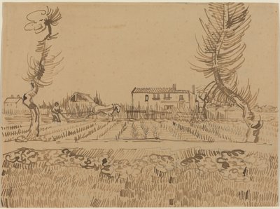  de Vincent van Gogh