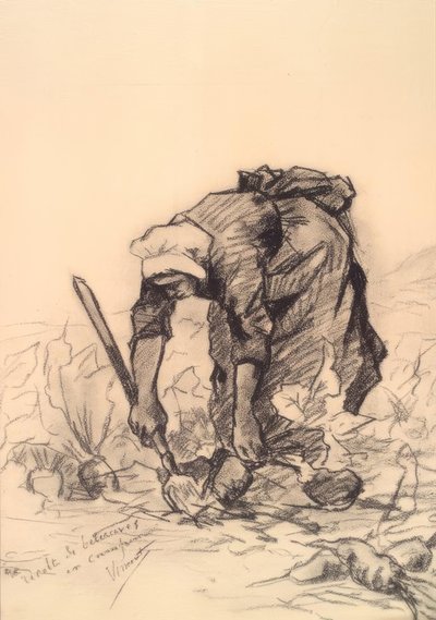Recolectora de remolachas de Vincent van Gogh