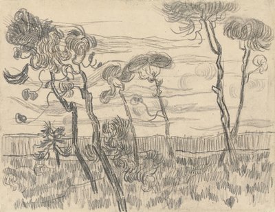 Seis pinos cerca del muro de la cerca, 1899 de Vincent van Gogh