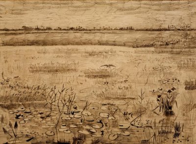 Paisaje pantanoso con lirios de agua de Vincent van Gogh