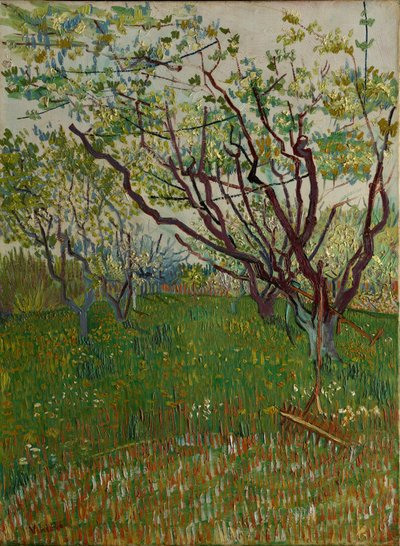 El Huerto en Flor, 1888 de Vincent van Gogh