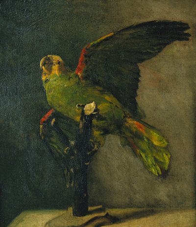 El loro verde; Le Perroquet Vert, 1885 de Vincent van Gogh