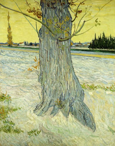 El Viejo Árbol de Vincent van Gogh