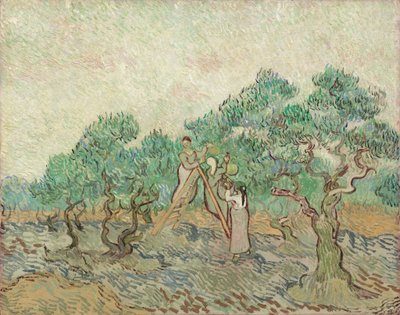 El Olivar, 1889 de Vincent van Gogh