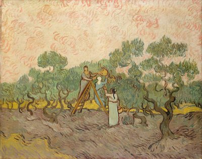Los Recolectores de Aceitunas, Saint-Remy de Vincent van Gogh