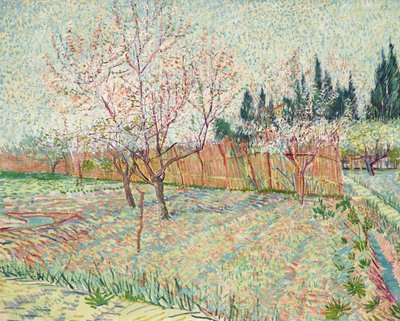 Huerto con cipreses de Vincent van Gogh