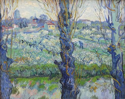  de Vincent van Gogh