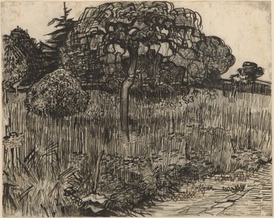 Árbol llorón de Vincent van Gogh