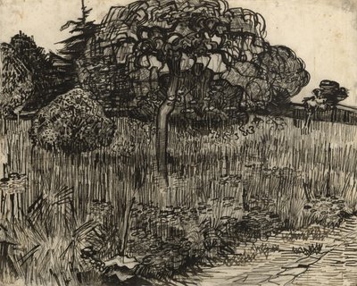 Árbol llorón, 1889 de Vincent van Gogh