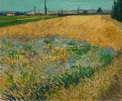 Wheatfield de Vincent van Gogh