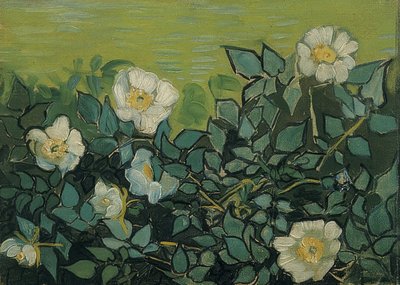 Rosas silvestres. 1889 de Vincent van Gogh