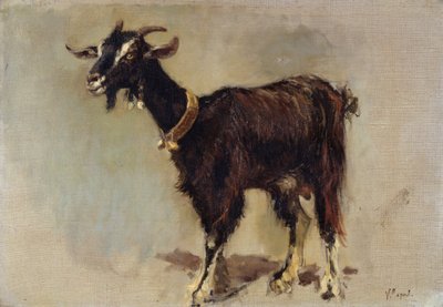 Cabra de Vincenzo Caprile