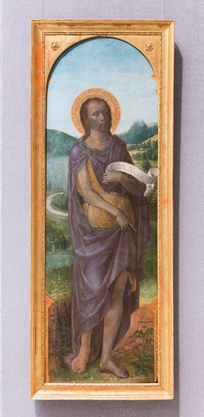 San Juan Bautista de Vincenzo Foppa