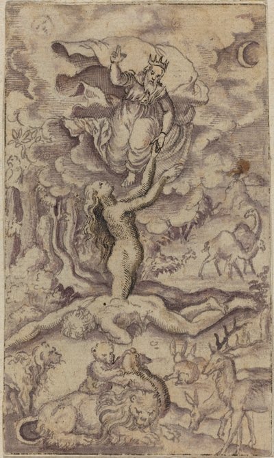 La Creación de Eva de Virgil Solis