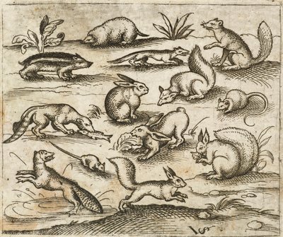 Grupo de pequeñas criaturas del bosque comiendo y corriendo alrededor de un estanque, incluyendo un ratón, un conejo, una ardilla, un mapache, una marmota, un hurón, una marta y un tejón, del Álbum I de Impresiones Ornamentales Douce de Virgilius the elder (after) Solis