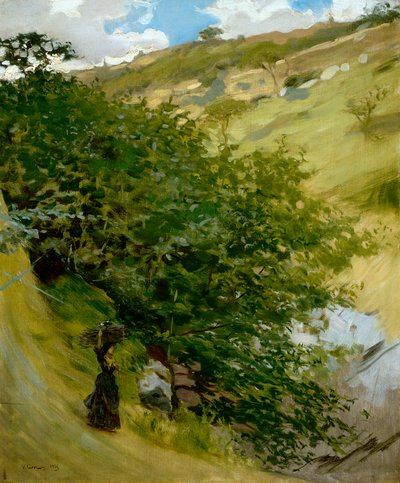 Montón de leña en un paisaje de Vittorio Matteo Corcos (1859-1933), óleo sobre lienzo, 53x43 cm de Vittorio Matteo Corcos
