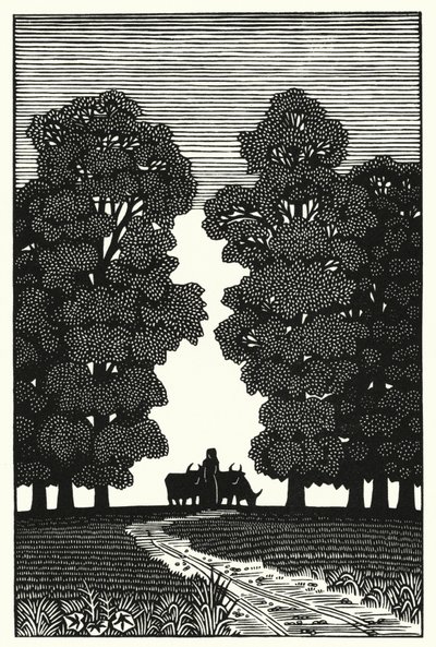 Ilustración de Tess Of The D