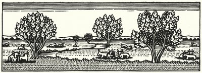 Ilustración de Tess Of The D
