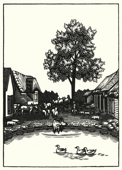 Ilustración para Tess Of The D