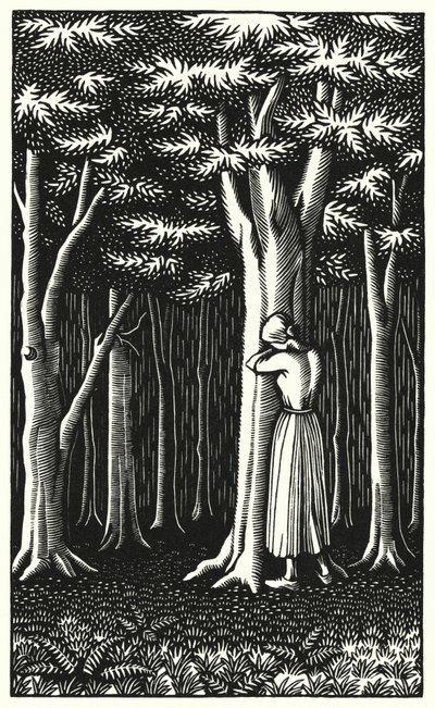 Ilustración para Tess Of The D