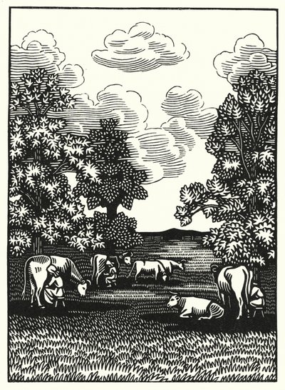 Ilustración para Tess de los d