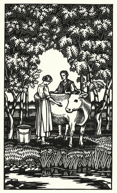 Ilustración para Tess de los d