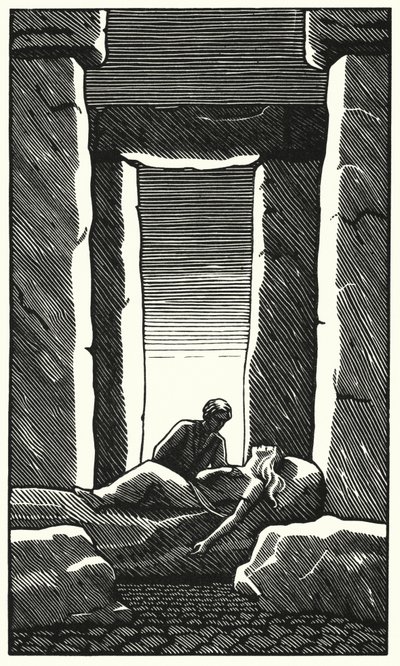 Ilustración para Tess de los d