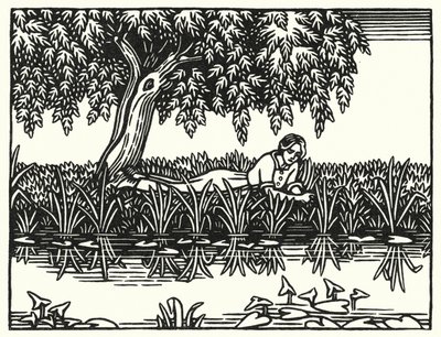 Ilustración para Tess de los d