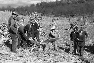 Campesinos en un maizal sierran un tronco para hacer leña utilizando una sierra tronzadora manejada por dos hombres de Volkmar Wentzel