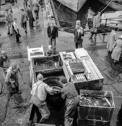 Pescadores islandeses descargan sus capturas en el muelle de Volkmar Wentzel