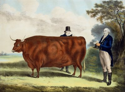Retrato del Sr. T.W. Coke Esq. y el Sr. Clerk Hilliard Esq. con un buey de North Devon de W.H. Davis