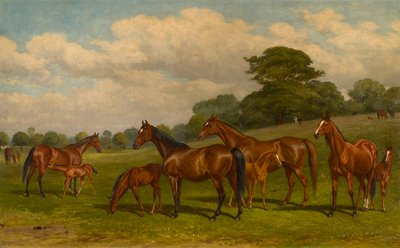 Yeguas y potros, c.1892 (óleo sobre lienzo) de W.H. Hopkins