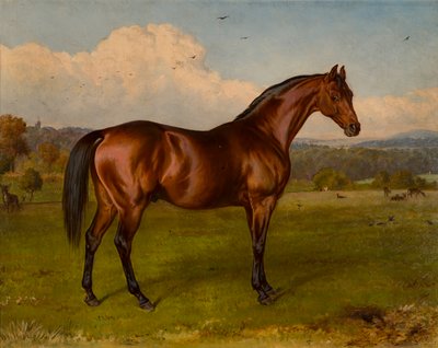 Retreat-Winner of the Doncaster Cup, c.1870-92 (óleo sobre lienzo) de W.H. Hopkins