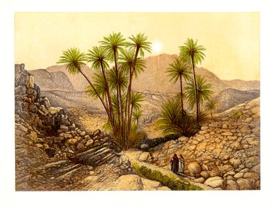El desierto del Sinaí, Egipto, c1870 de W. Dickens