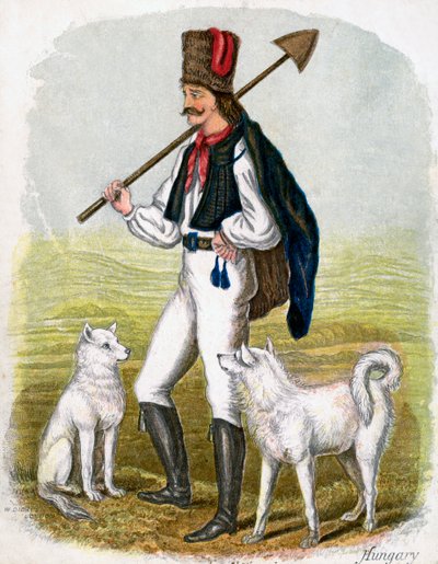 Hombre húngaro con perros, 1809 de W. Dickes