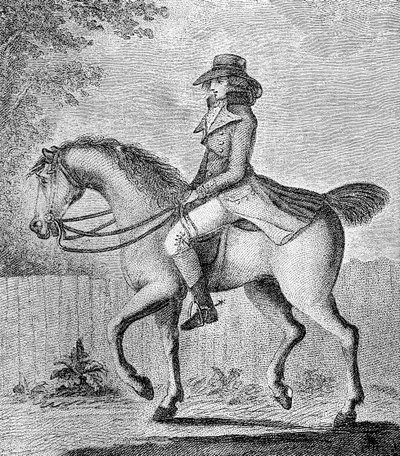 La noción equivocada de W. Dickinson