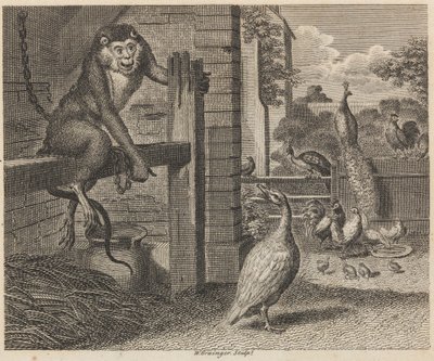 El babuino y las aves de corral de W. Grainger
