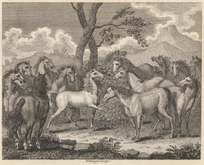 El Consejo de los Caballos de W. Grainger