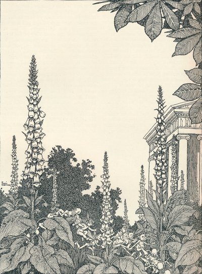Ilustración de Sueño de una noche de verano, 1914, 1925 de William Heath Robinson