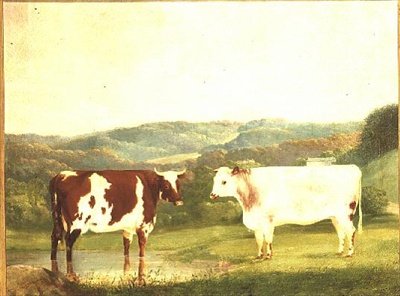 Ganado contra un paisaje de W. J. Chapman