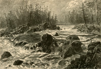 Las Dalles de St. Louis, 1874 de W. J. Linton