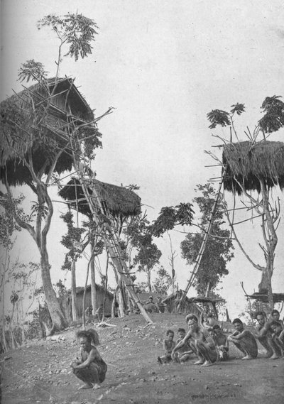 Dobos, casas en los árboles para mujeres solteras en Melanesia, 1902 de W. Lindt