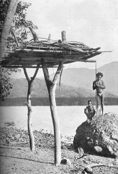 Plataforma mortuoria en Nueva Guinea, 1902 de W. Lindt