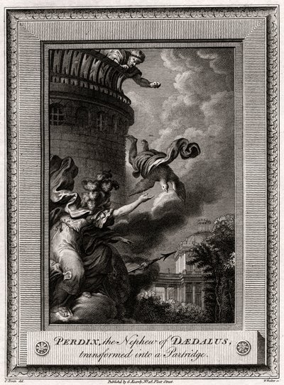 Pérdix, el sobrino de Dédalo, transformado en perdiz, 1774 de W. Walker