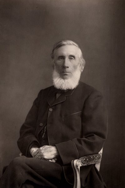 "John Tyndall (1820-1893) Físico británico de origen irlandés. (woodburytype) de W. and D. (after) Downey