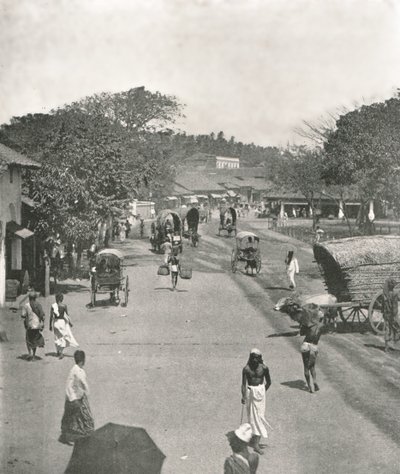 Escena callejera cerca del Ayuntamiento, Colombo, Ceilán, 1895 de W and S Ltd
