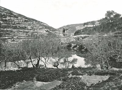 El estanque de Siloé, Jerusalén, Palestina, 1895 de W and S Ltd