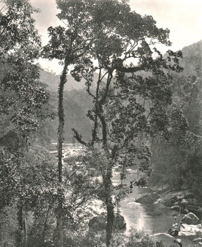 Vista del río Kelani, Kurunegala, Ceilán, 1895 de W and S Ltd