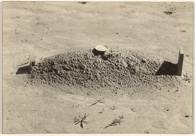 Una tumba baptista, condado de Hale, Alabama de Walker Evans